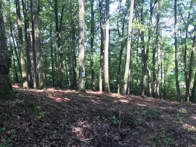 25 Piney Knob Drive, Spring City, TN 37381 - #1