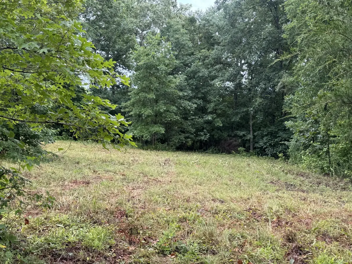 0 Johnson Hollow Rd, Stewart, TN 37175 - #1