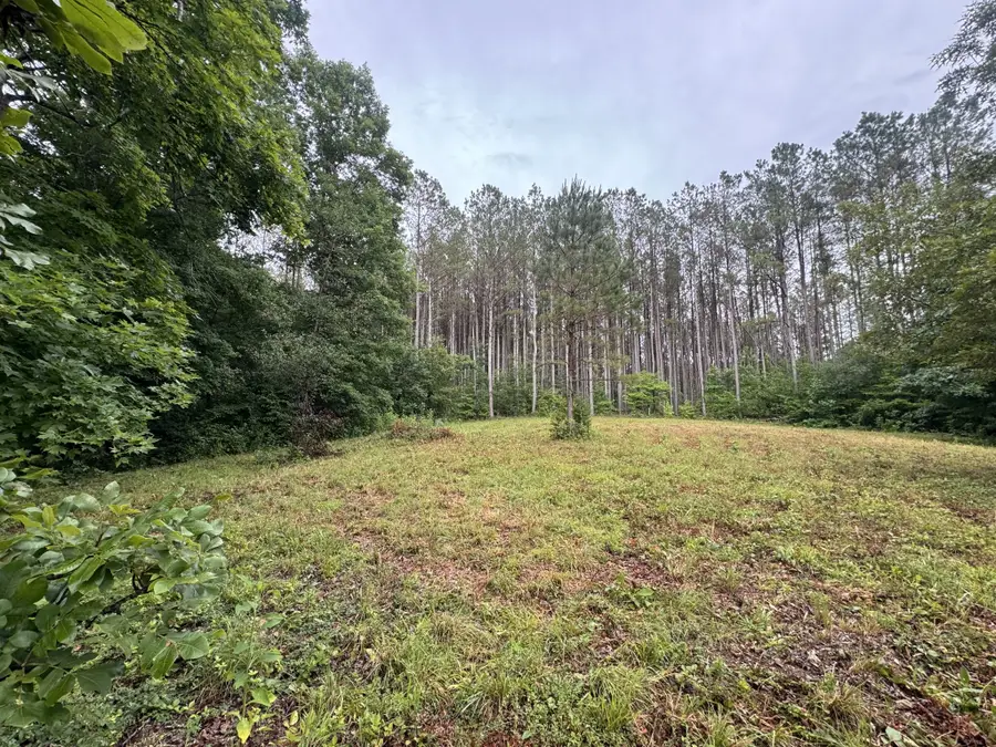 0 Johnson Hollow Rd, Stewart, TN 37175 - #2