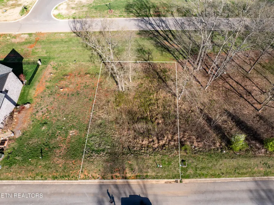 967 Black Cove Lane, Loudon, TN 37774 - #3