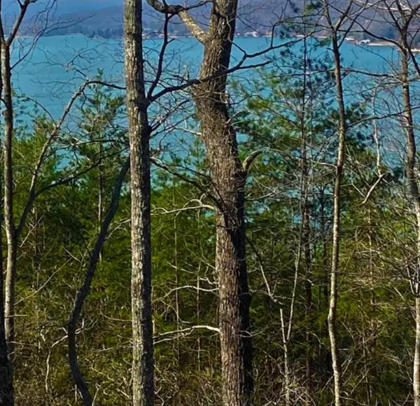 1 Branham Rd, Ten Mile, TN 37880