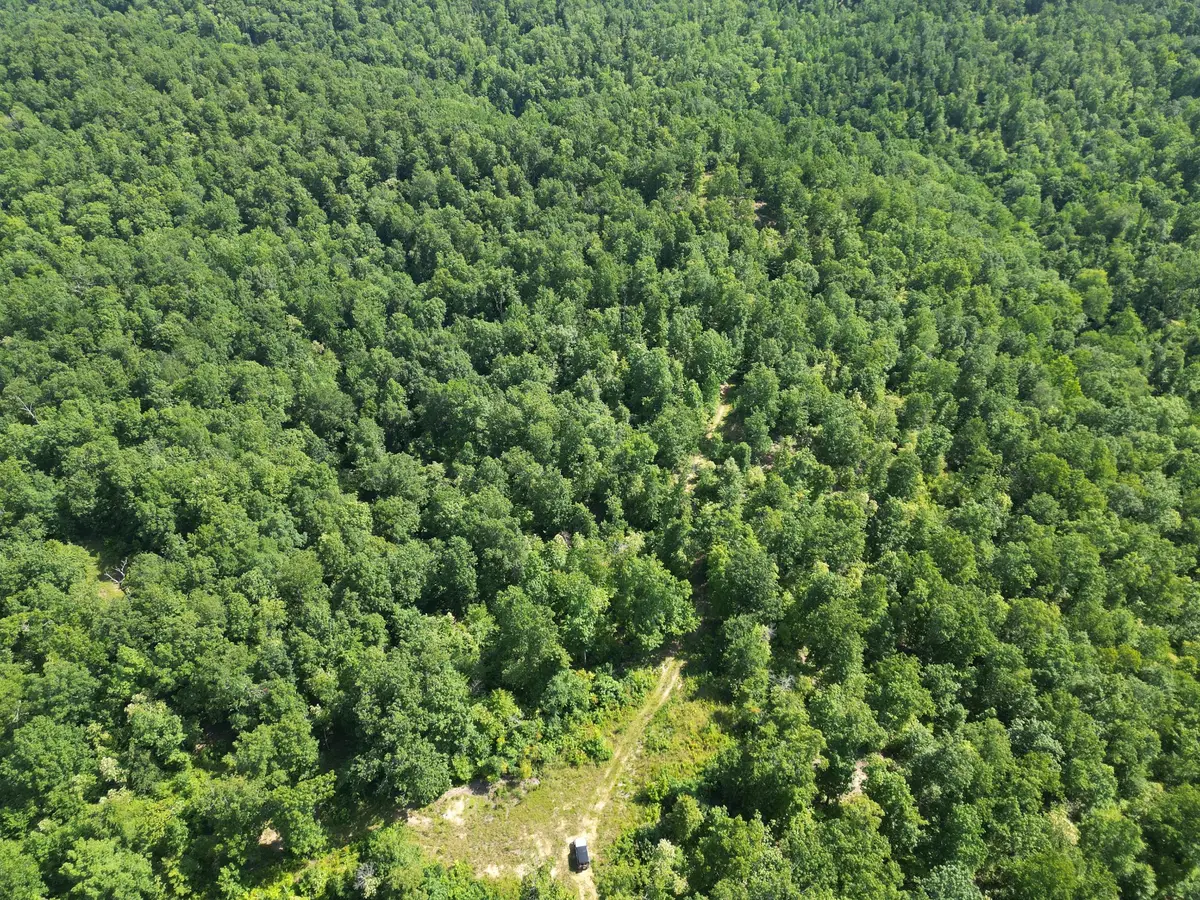 0 Black Bear Trail Rd, Linden, TN 37096 - #1