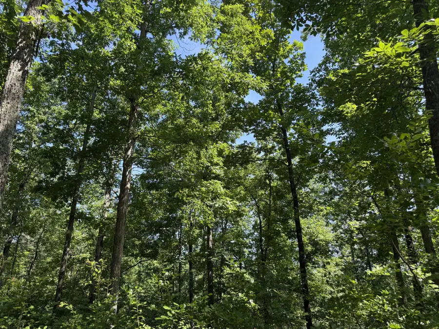 0 Black Bear Trail Rd, Linden, TN 37096 - #2