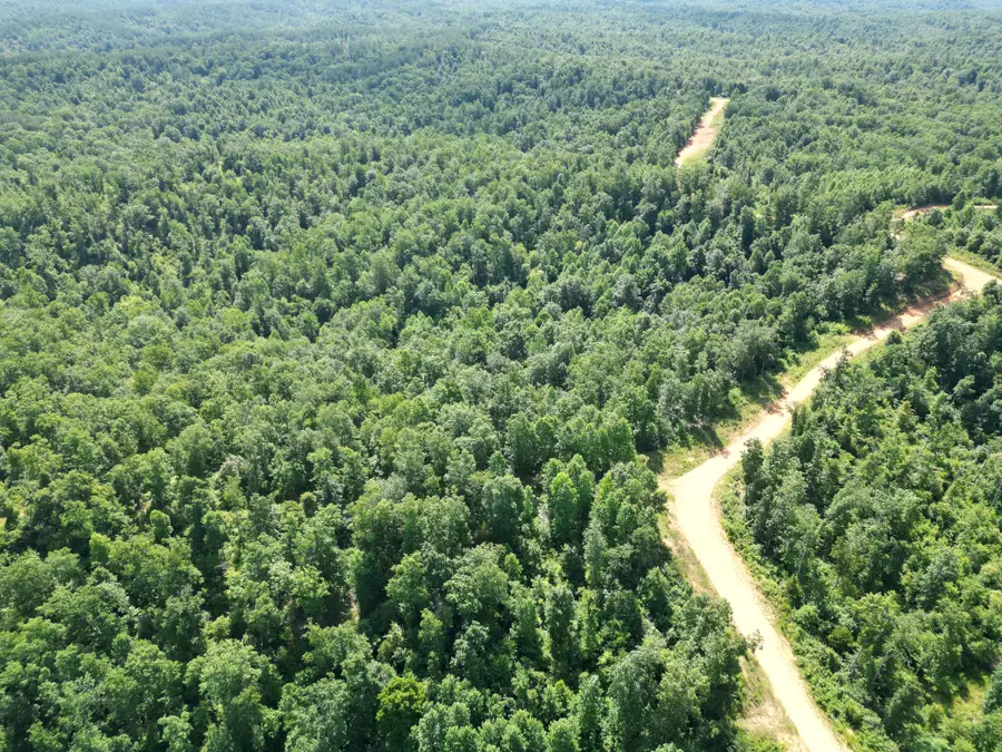 0 Black Bear Trail Rd, Linden, TN 37096 - #3