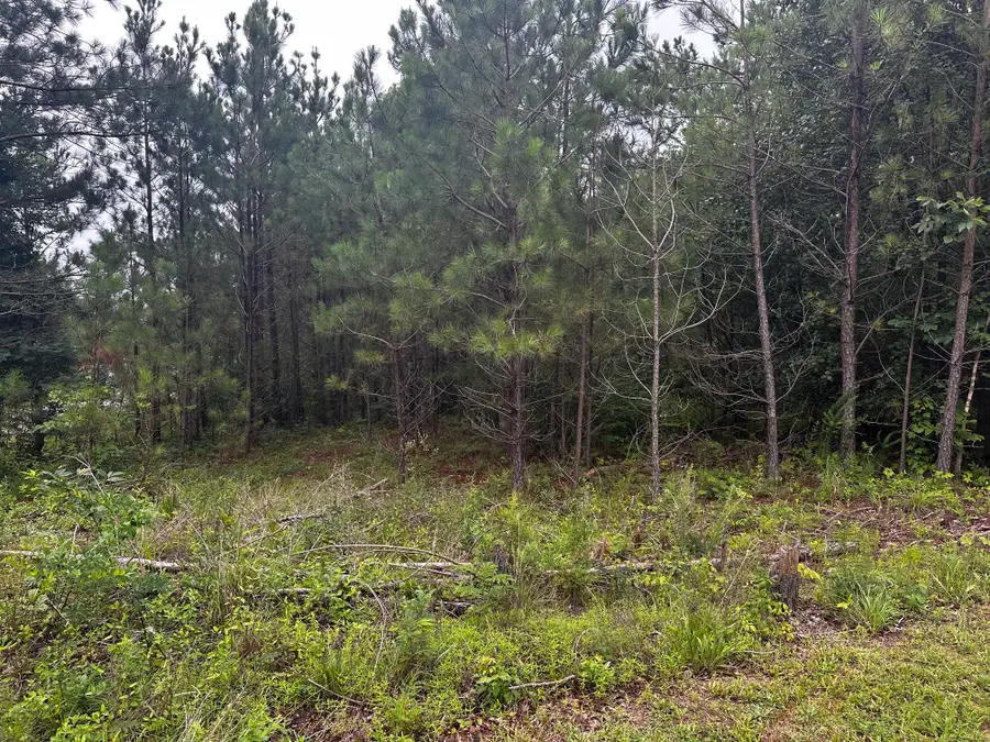 0 Hwy 120, Big Rock, TN 37023 - #2