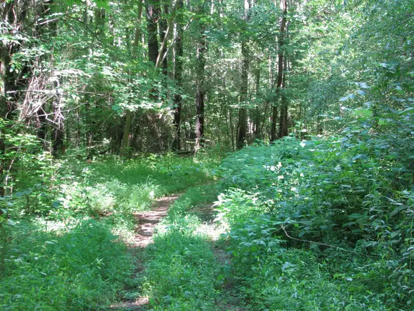 0 Matthews Hollow Rd, Waverly, TN 37185
