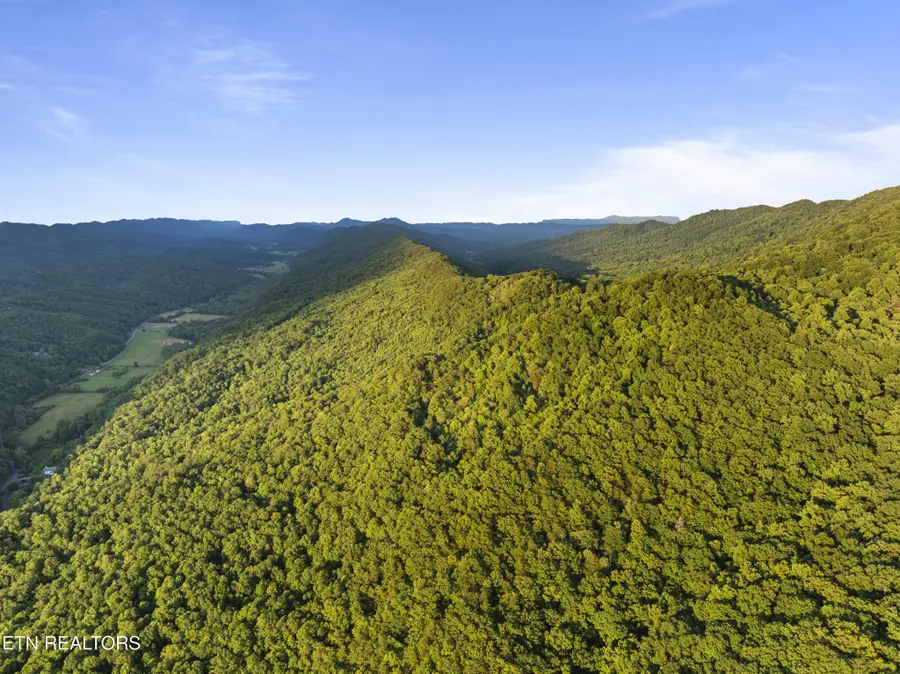 0 Spruce Pine (330 Acres) Rd, Mooresburg, TN 37811 - #2