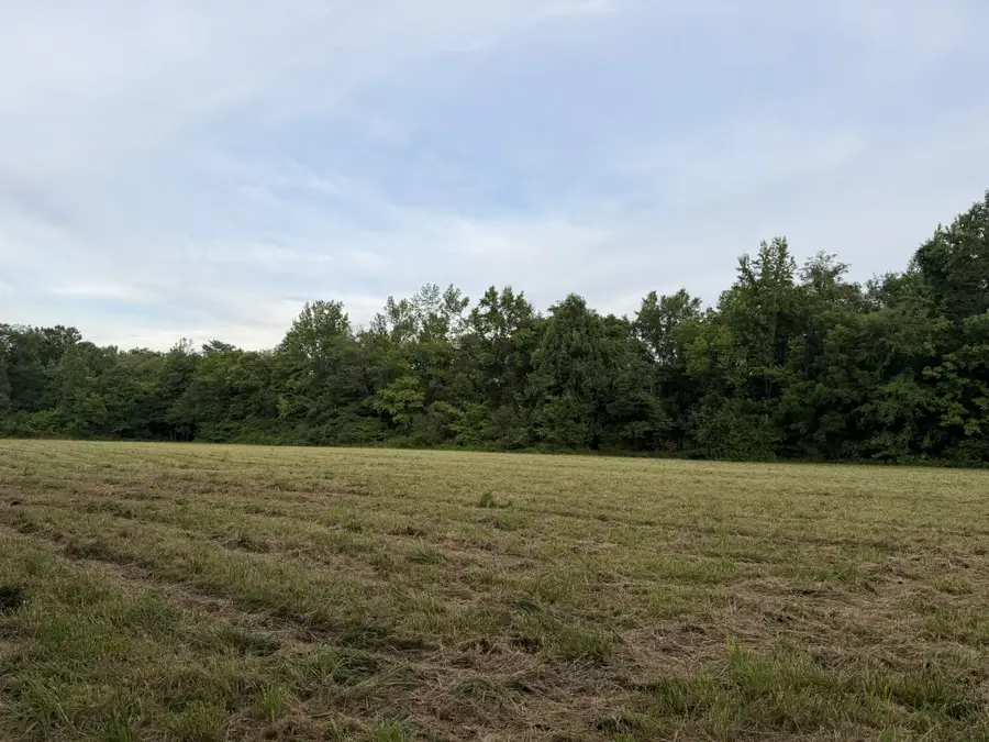 0 Dry Branch Rd, Holladay, TN 38341 - #3