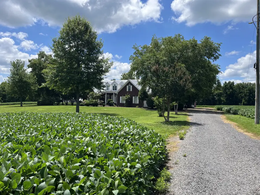 3501 W Highway 21, Hornbeak, TN 38232 - #2