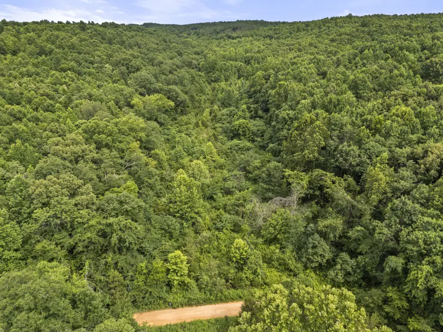 0 Rockhouse Rd, Linden, TN 37096 - #2