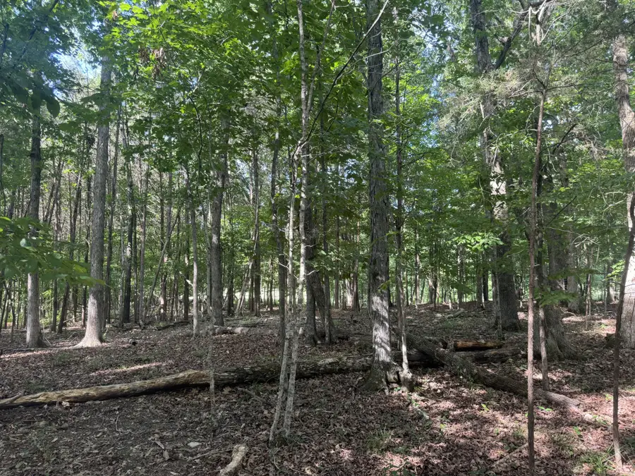 0 Rivy Way, Lewisburg, TN 37091 - #3
