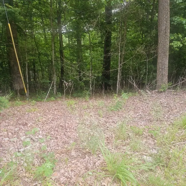 0 Scenic Drive, Dickson, TN 37055 - #2