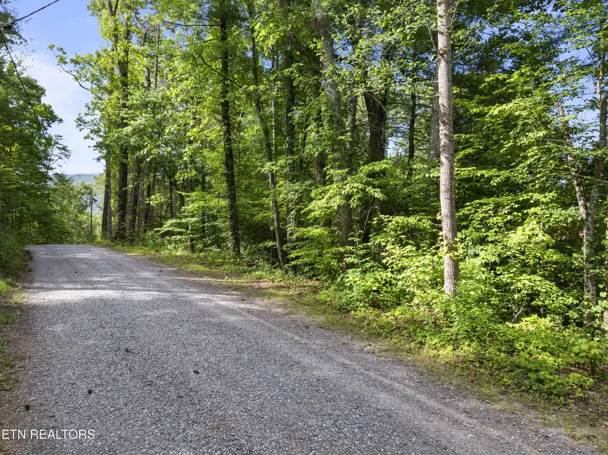 0 Grouse Top (lot 4) Rd, Walland, TN 37886 - #1