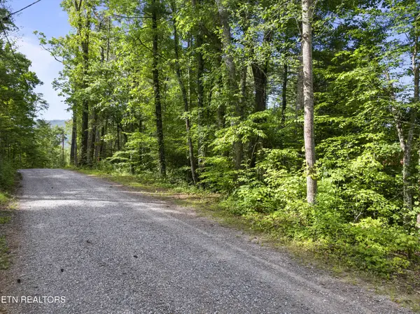 0 Grouse Top (lot 4) Rd, Walland, TN 37886