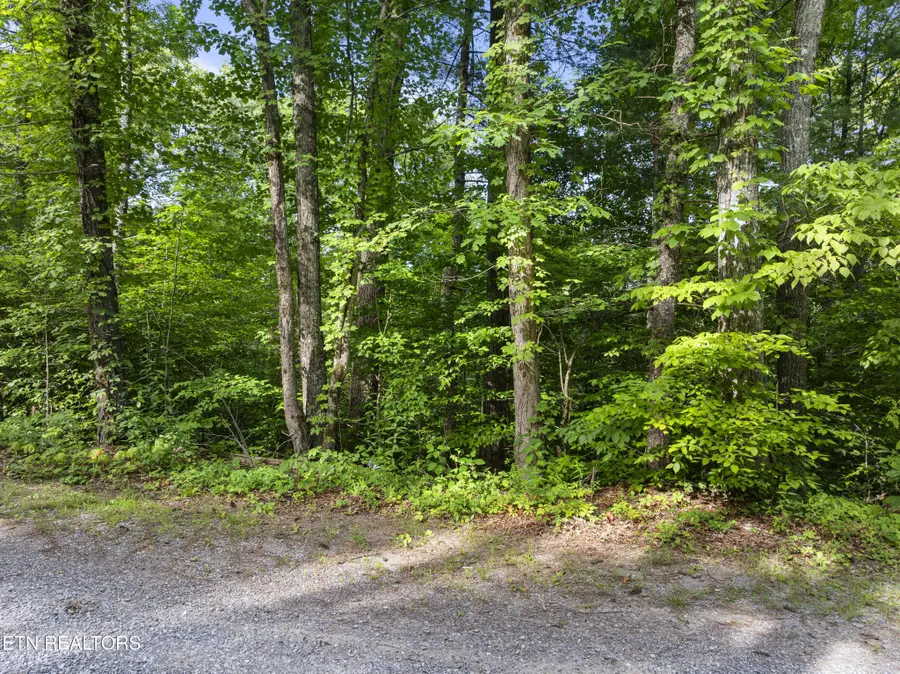 0 Grouse Top (lot 3) Rd, Walland, TN 37886 - #3