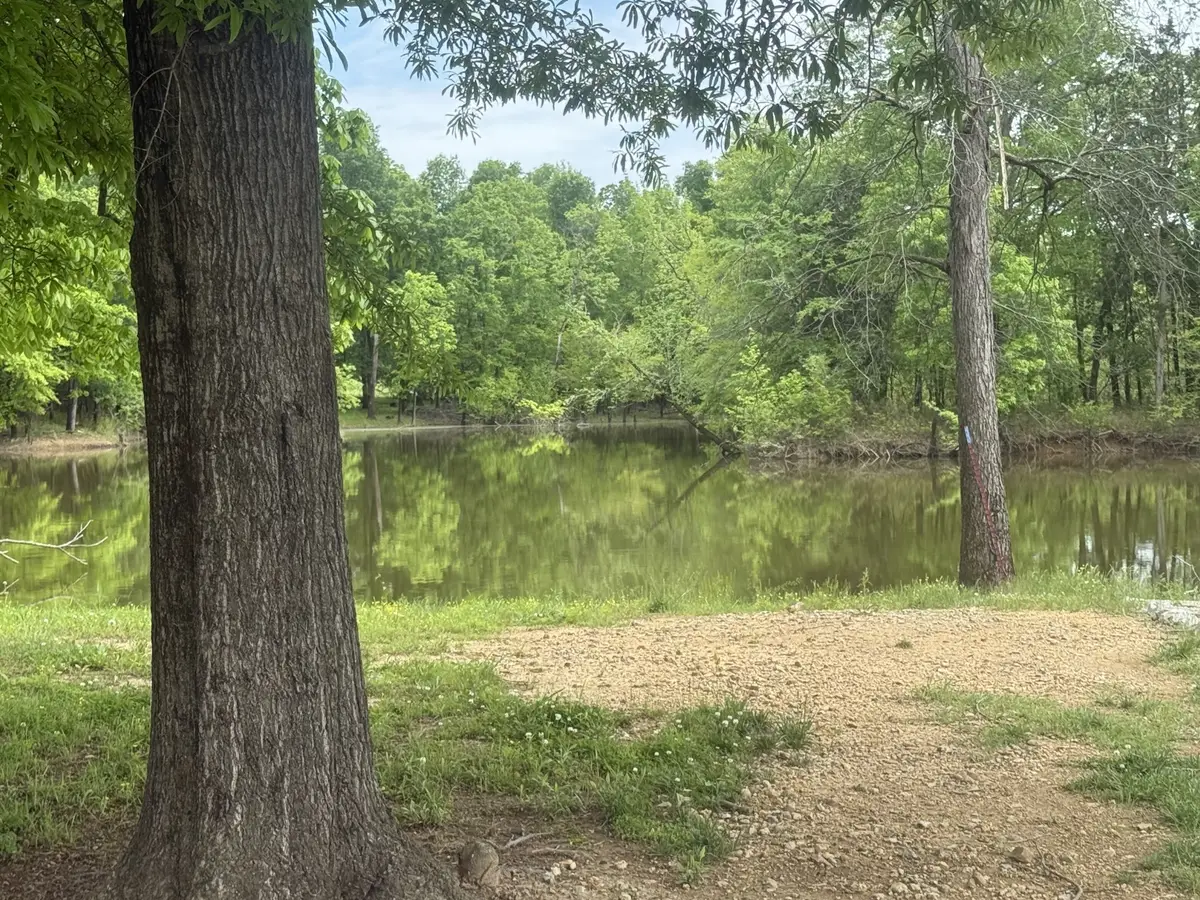 298 Duck Blind Rd, Clifton, TN 38425 - #1
