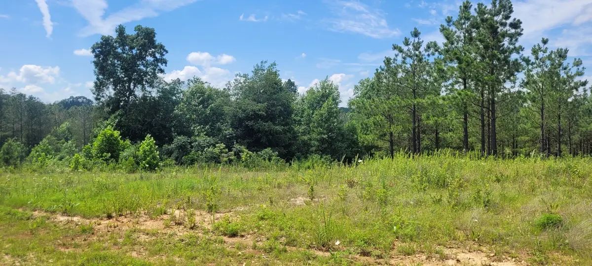 96 Evergreen Dr, Dover, TN 37058 - #1