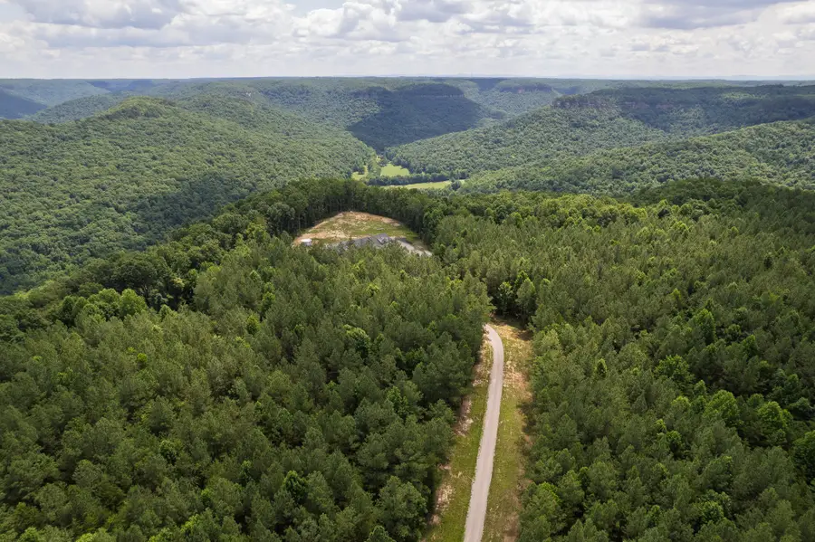 1313 Flat Rock Rd, Jamestown, TN 38556 - #2