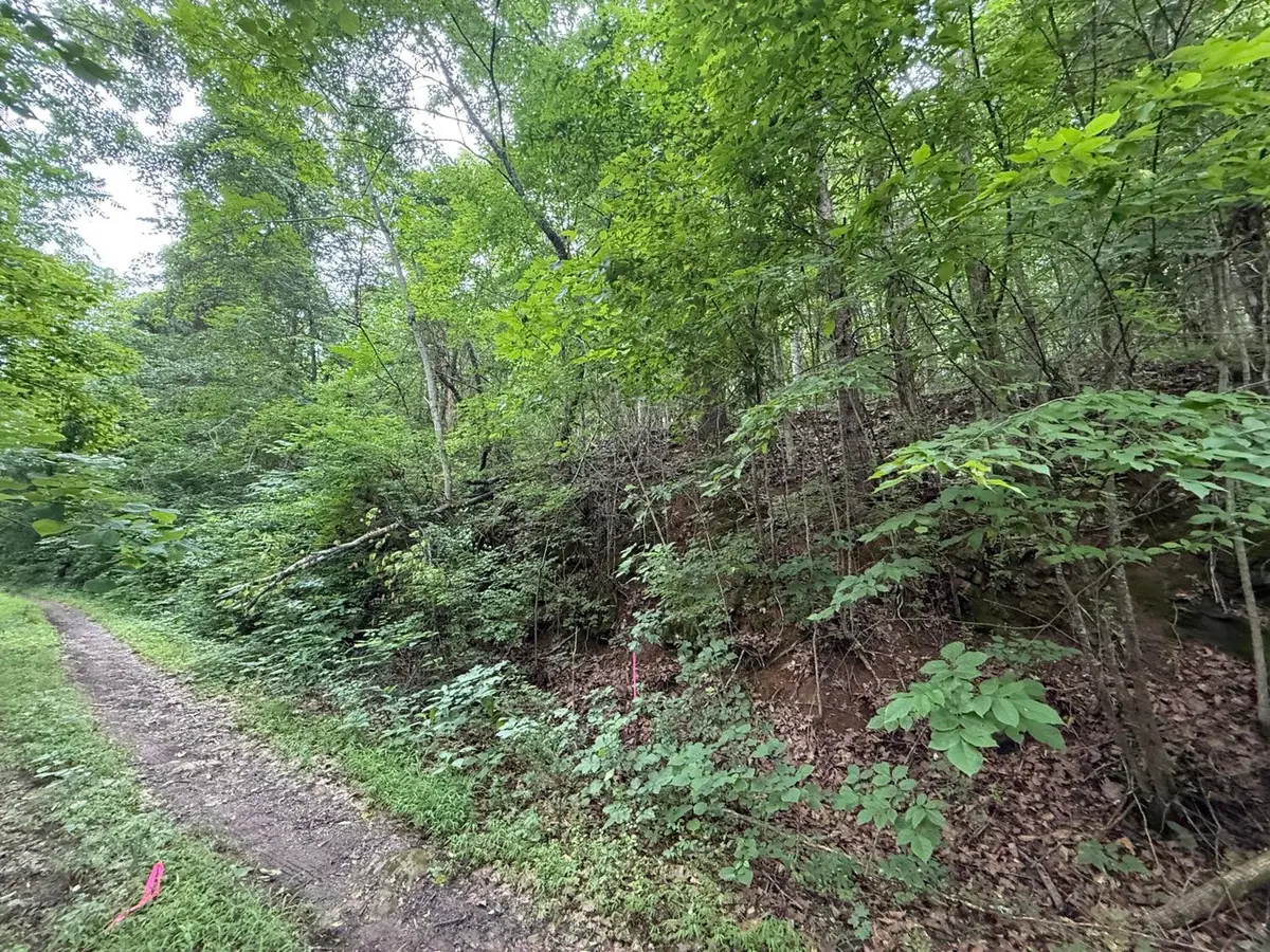 0 Fortunato Drive, Baneberry, TN 37890 - #1