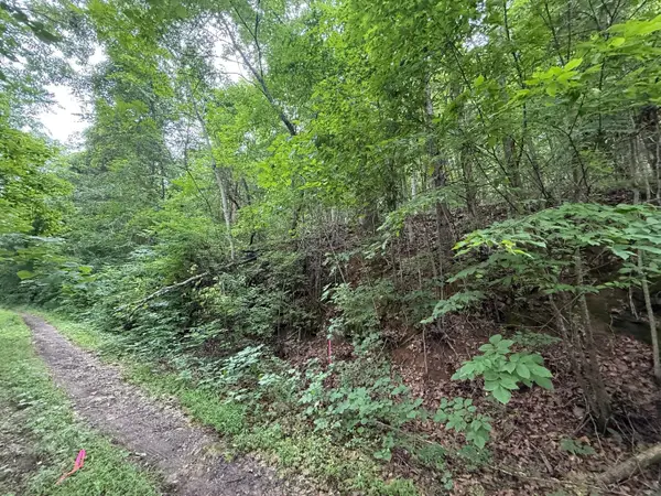 0 Fortunato Drive, Baneberry, TN 37890