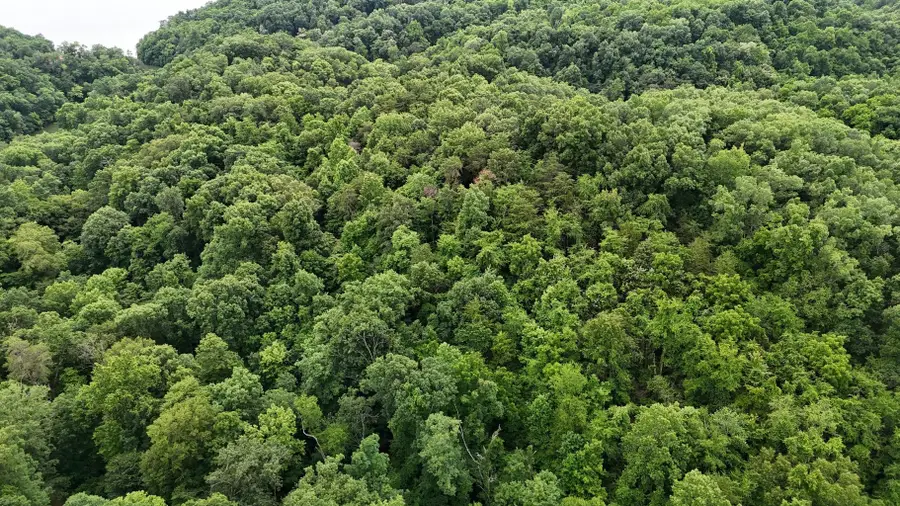 0 Fortunato Drive, Baneberry, TN 37890 - #3