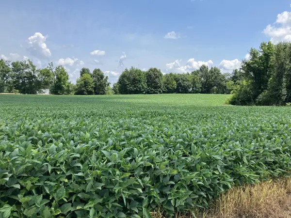 2690 Oak Grove Rd, Savannah, TN 38372