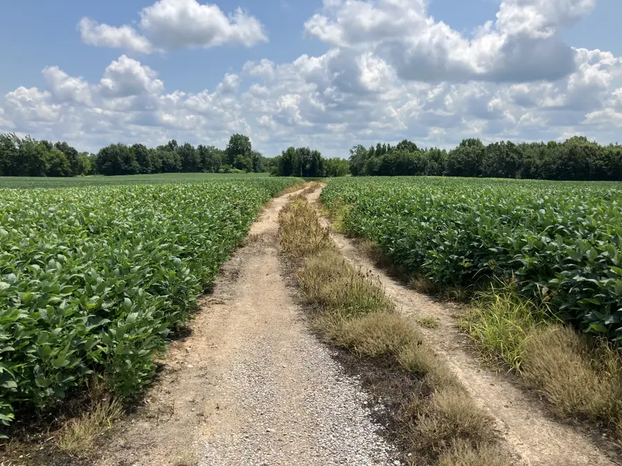2690 Oak Grove Rd, Savannah, TN 38372 - #2