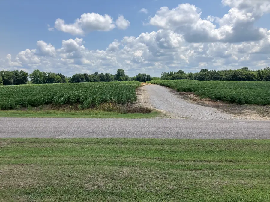 2690 Oak Grove Rd, Savannah, TN 38372 - #3