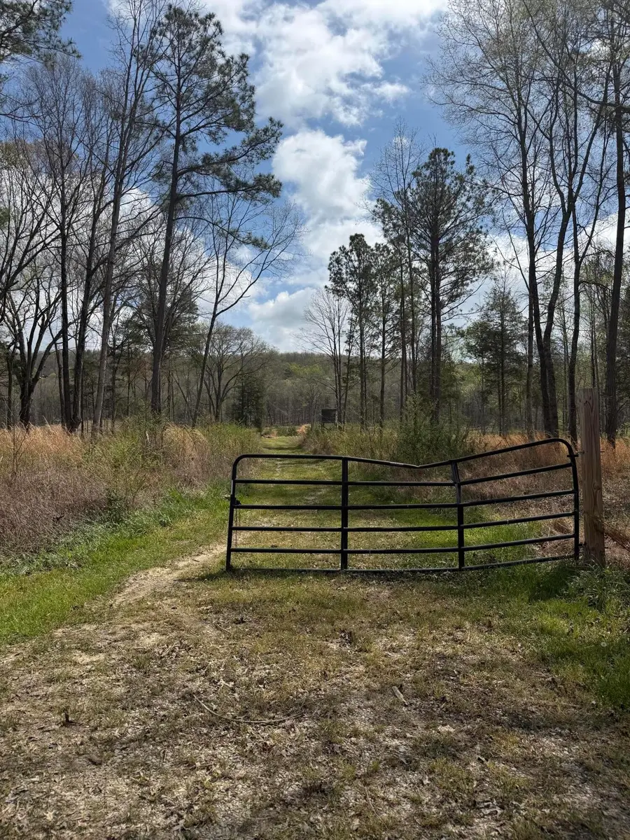 5 Calico Road, Decatur, TN 37322 - #2