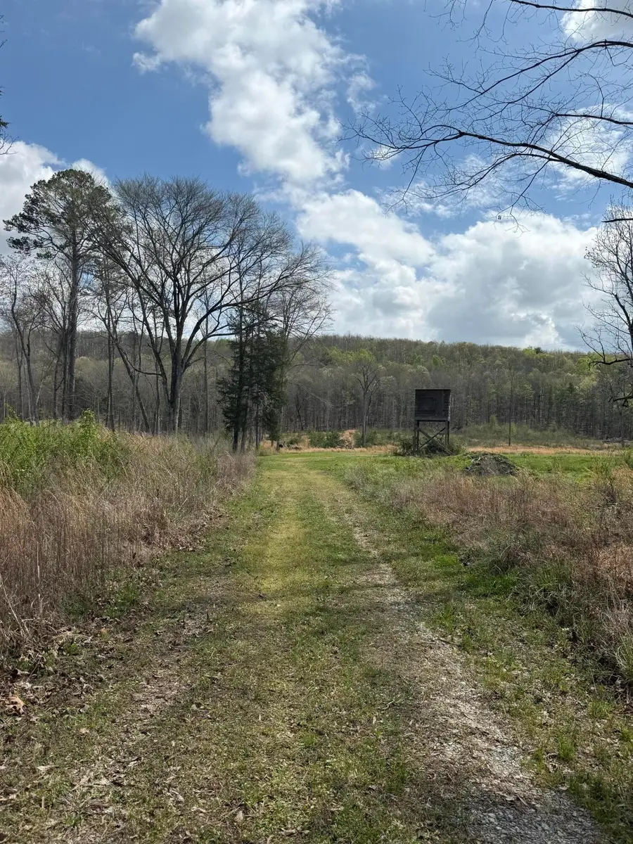 5 Calico Road, Decatur, TN 37322 - #3