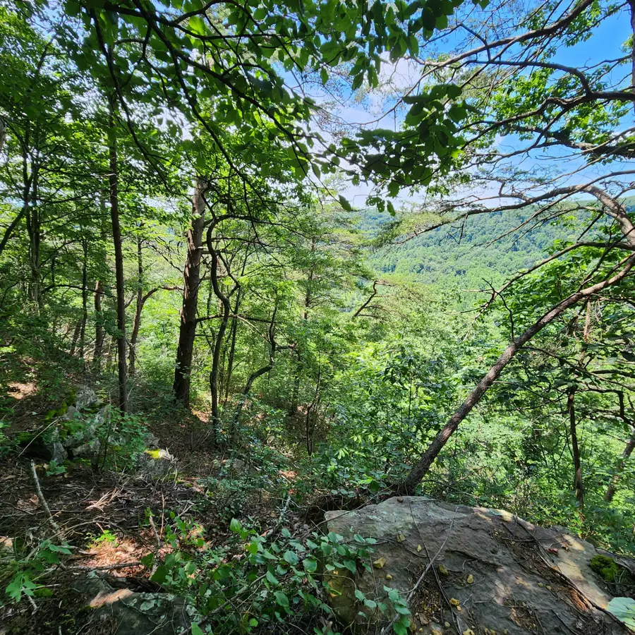 0 Eagle Point Drive, Monteagle, TN 37356 - #2