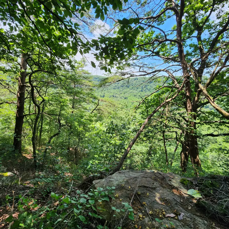 0 Eagle Point Drive, Monteagle, TN 37356 - #3