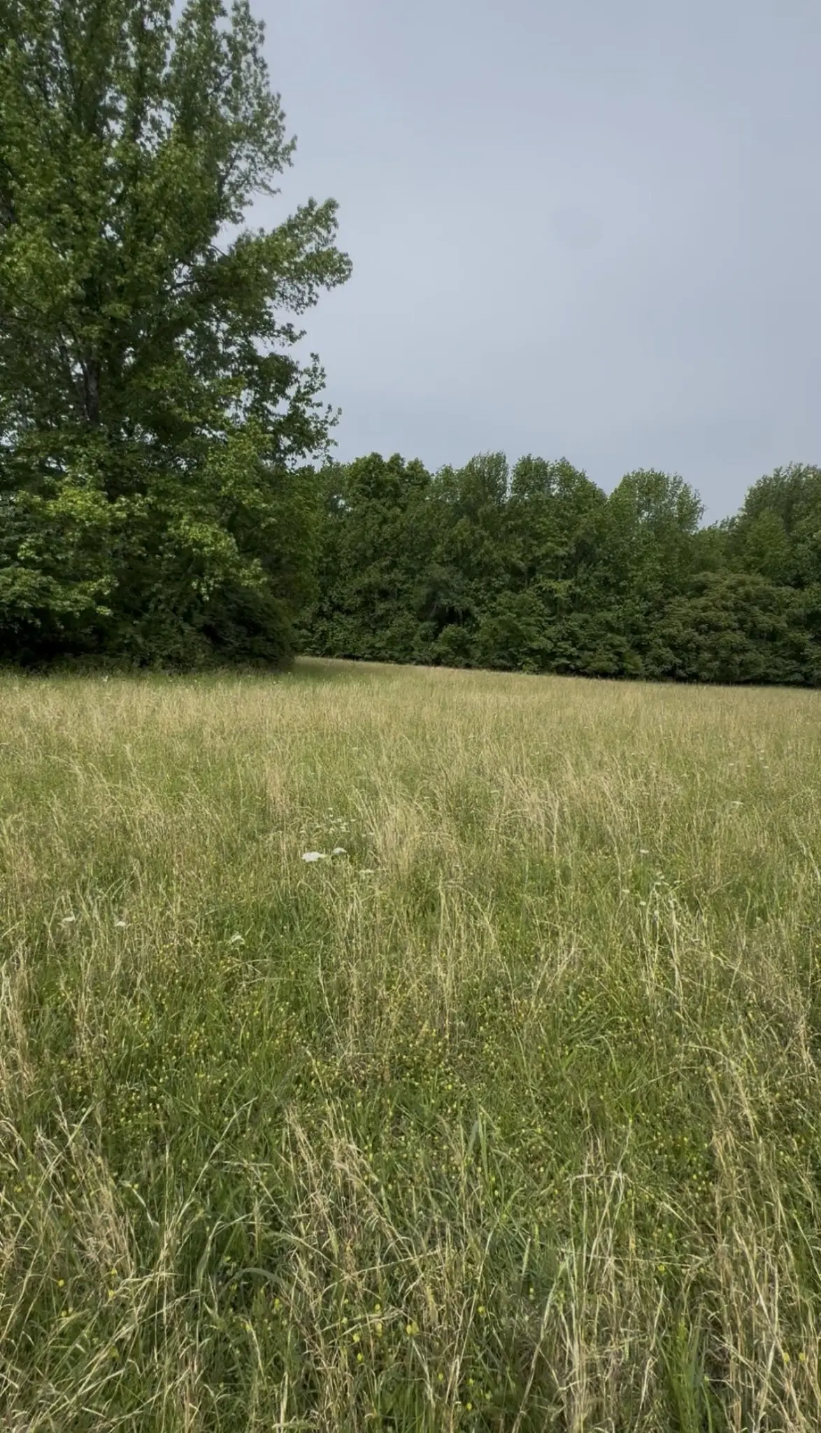 0 Riverview Road, Mount Juliet, TN 37122 - #1