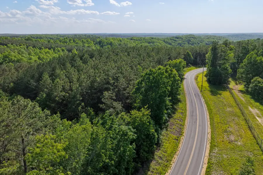 0 Darbytown Rd, Hohenwald, TN 38462 - #3