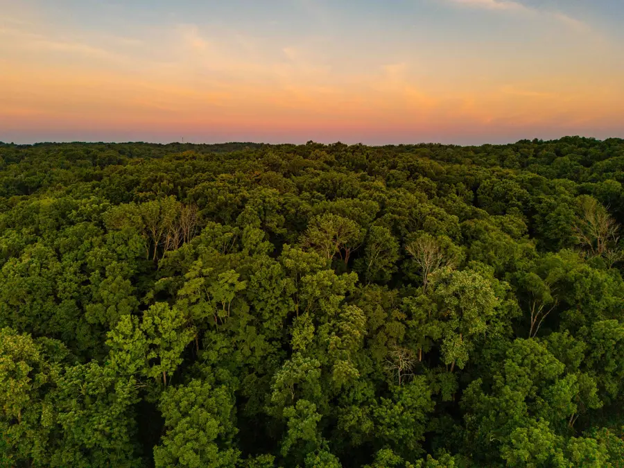 0 Robinson Rd, Thompsons Station, TN 37179 - #2