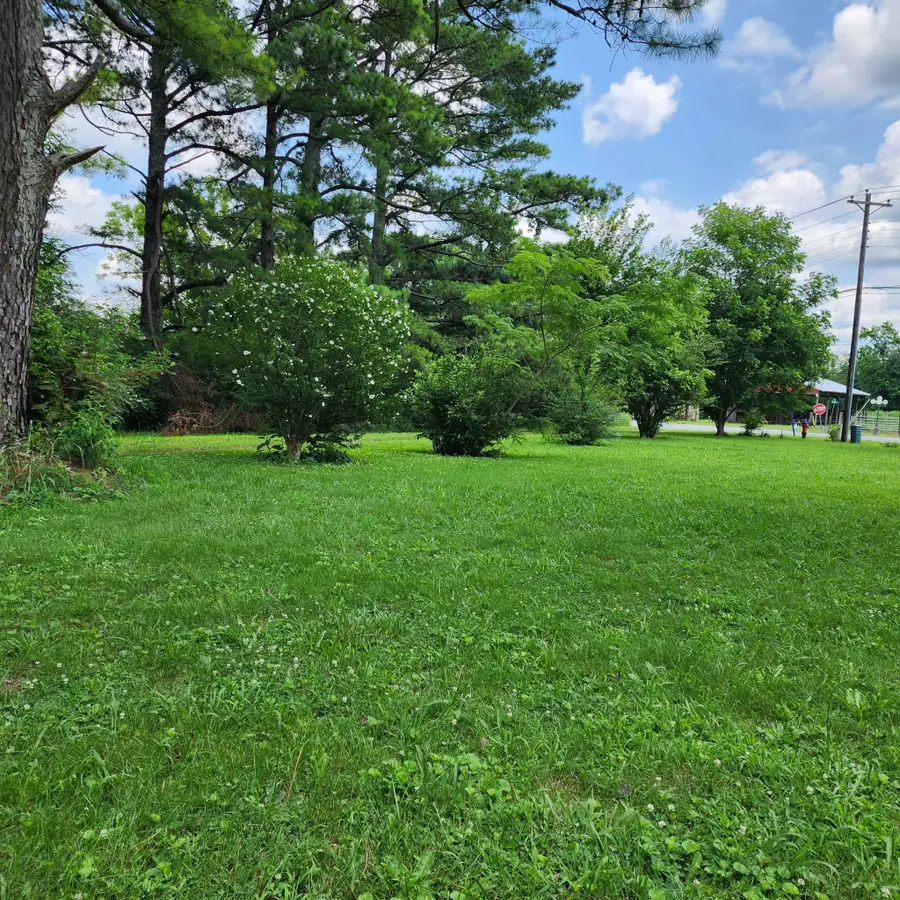 1202 North Main St, Saint Joseph, TN 38481 - #3