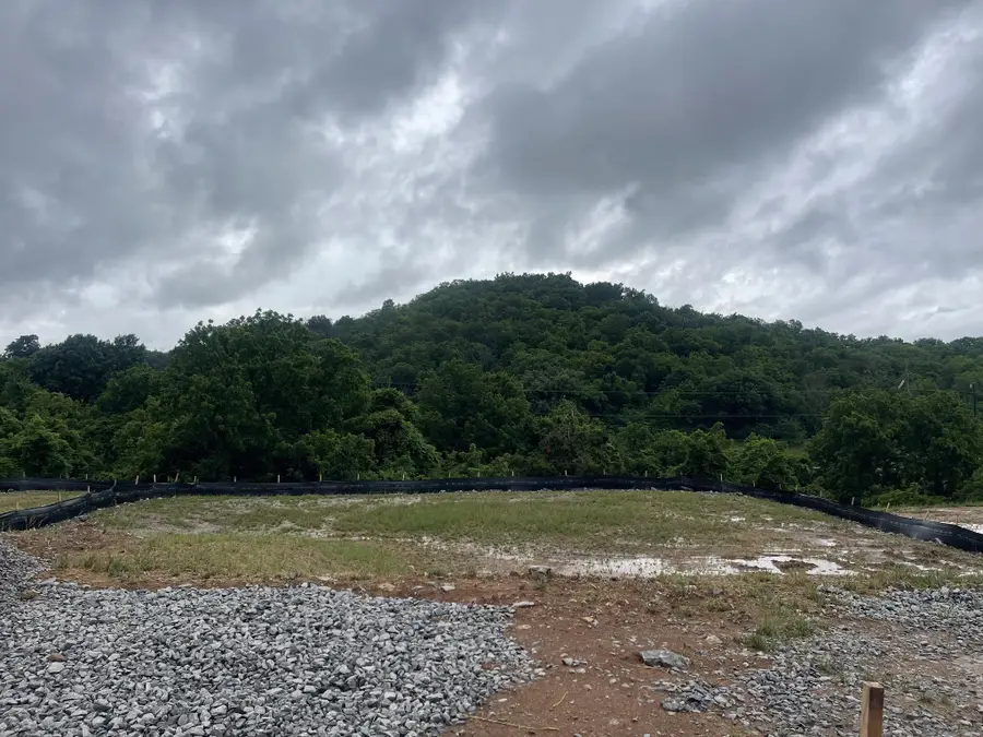 133 Berry Hunter Lane, Franklin, TN 37067 - #3