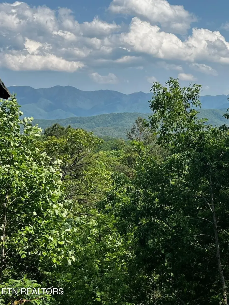 1 Vista Drive, Gatlinburg, TN 37738 - #3