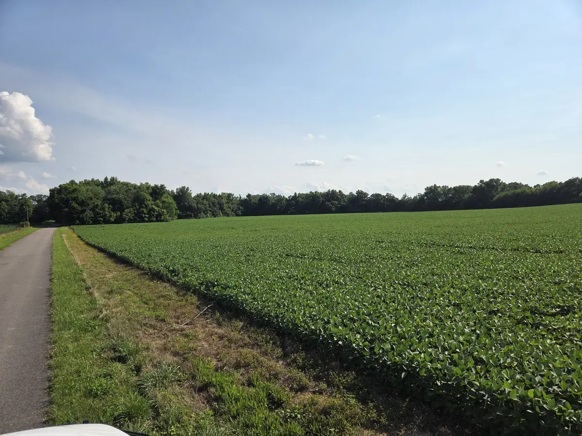 0 Power Station Rd, Taft, TN 38488 - #1