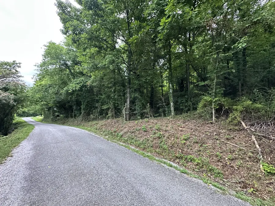 17 Hackett Valley Rd, Hickman, TN 38567 - #3