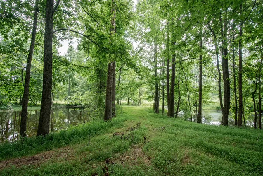 169 Pendergrass Rd, Flintville, TN 37335 - #3
