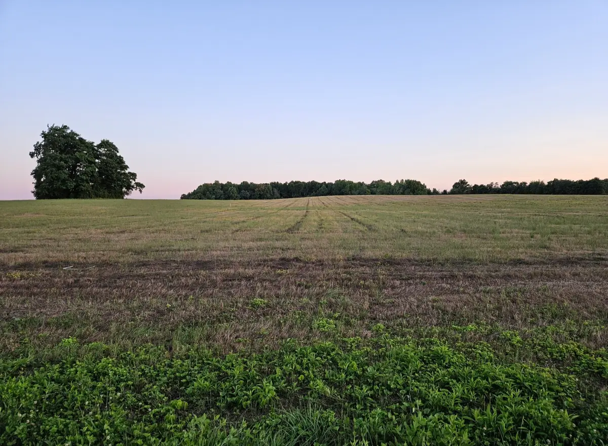 0 Blanton School Rd, Woodbury, TN 37190 - #1