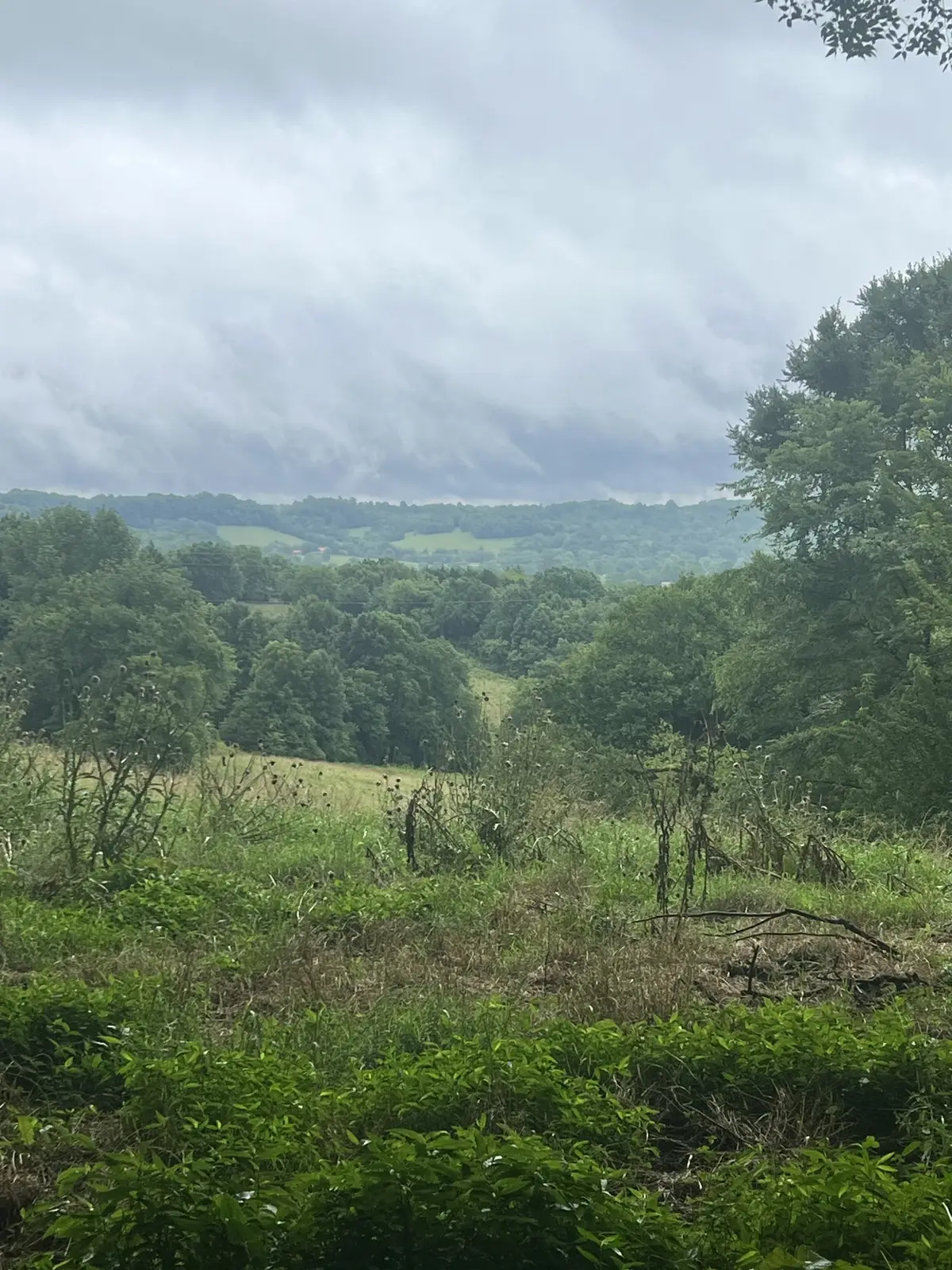 127 Mcburg Rd, Frankewing, TN 38459 - #1