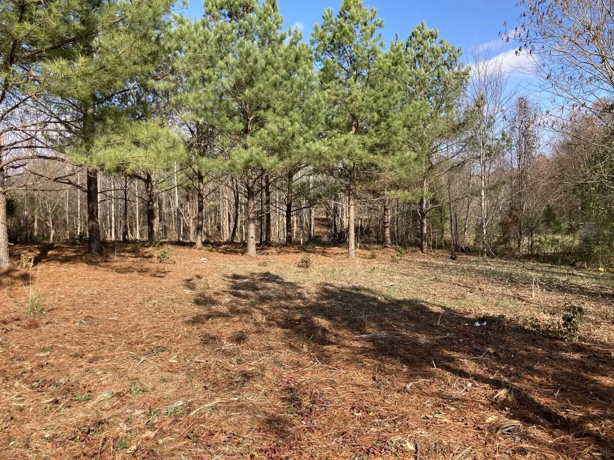 0 Highway 20, Summertown, TN 38483 - #1