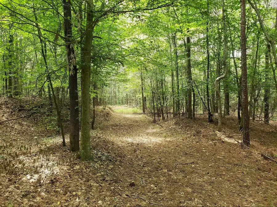 498 Gobbler Dr, Holladay, TN 38341 - #2