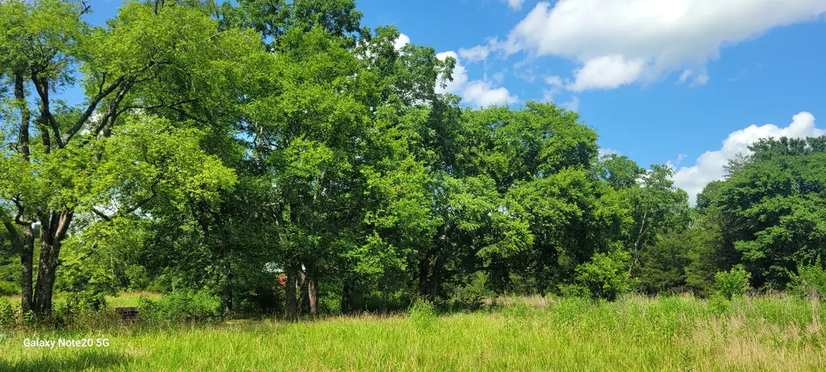 2 Clem Creek Rd, Chapel Hill, TN 37034 - #1
