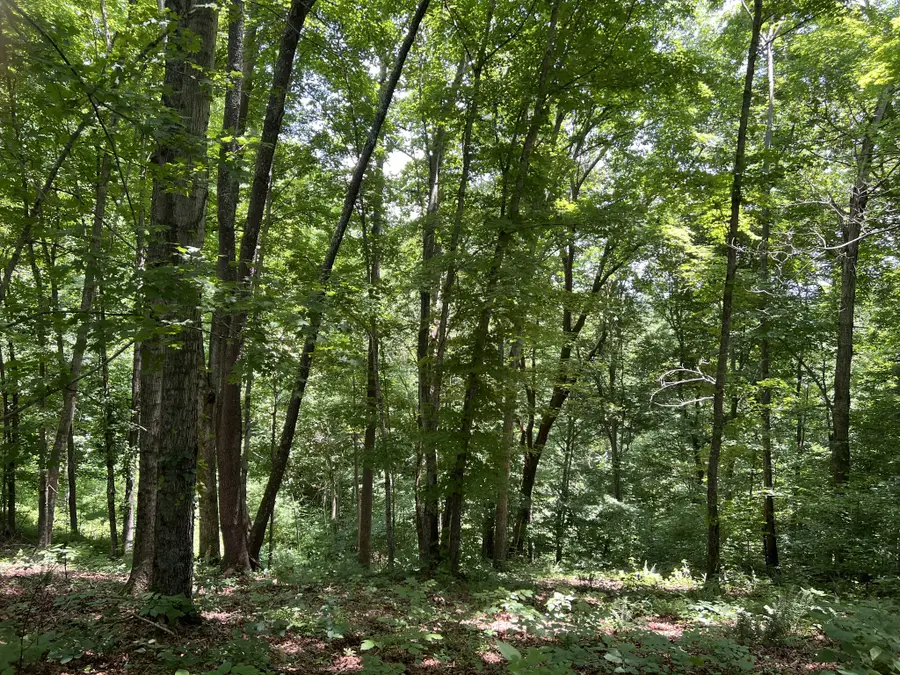 0 Lafever Ridge Rd, Silver Point, TN 38582 - #3