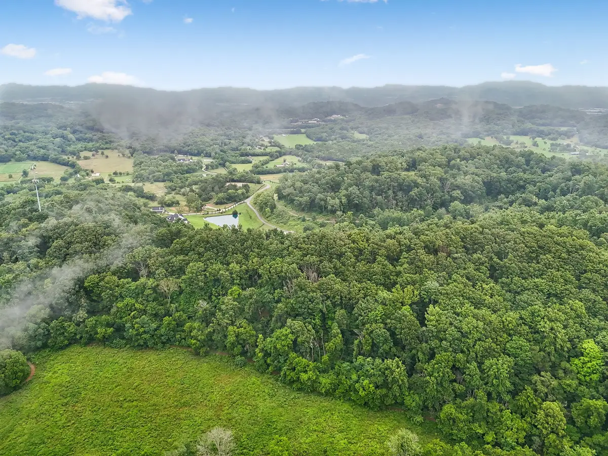 1196 Lula Ln, Franklin, TN 37064 - #1