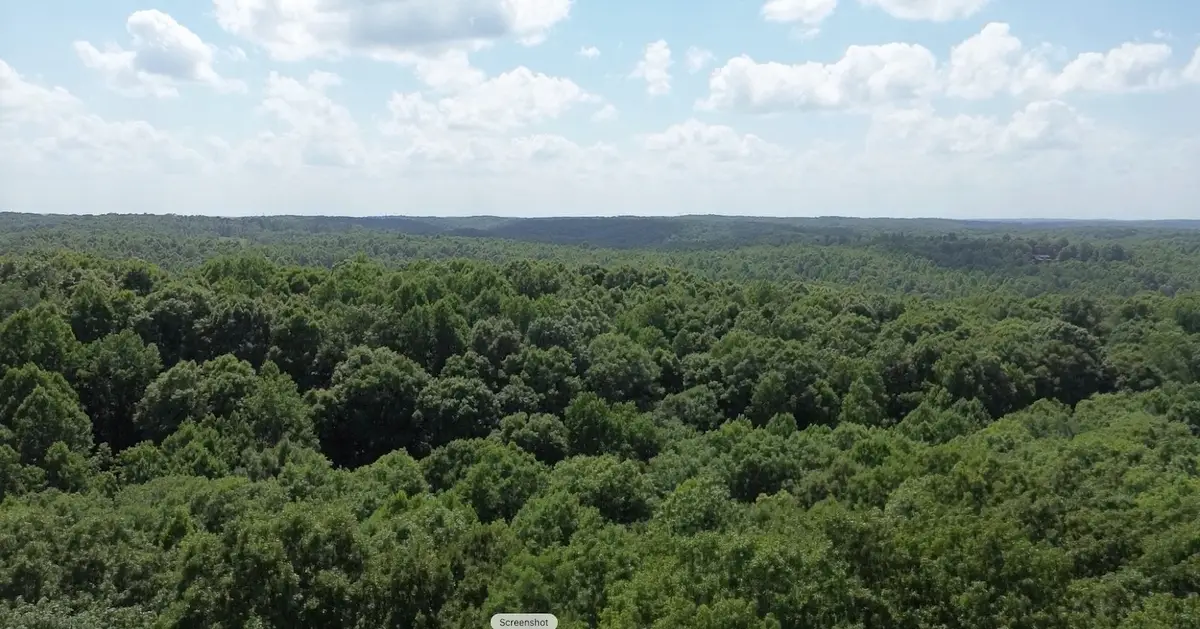 0 Owl Circle, Hurricane Mills, TN 37078 - #1