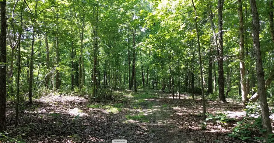 0 Owl Circle, Hurricane Mills, TN 37078 - #2
